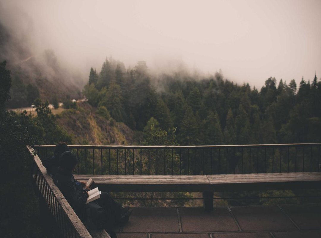 The Playbook for Navigating a Digital World