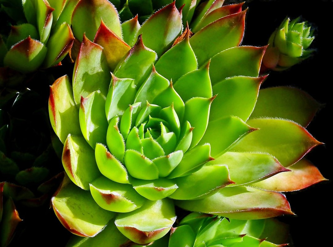 Examples of Humorous Anniversary GIFs for Men