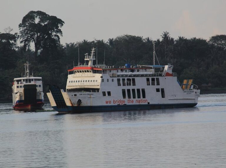lukisan hidupan laut hitam putih