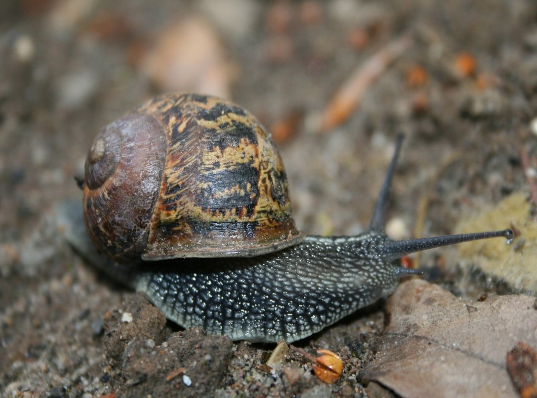 30 Ideas and Prompts to Get You Started